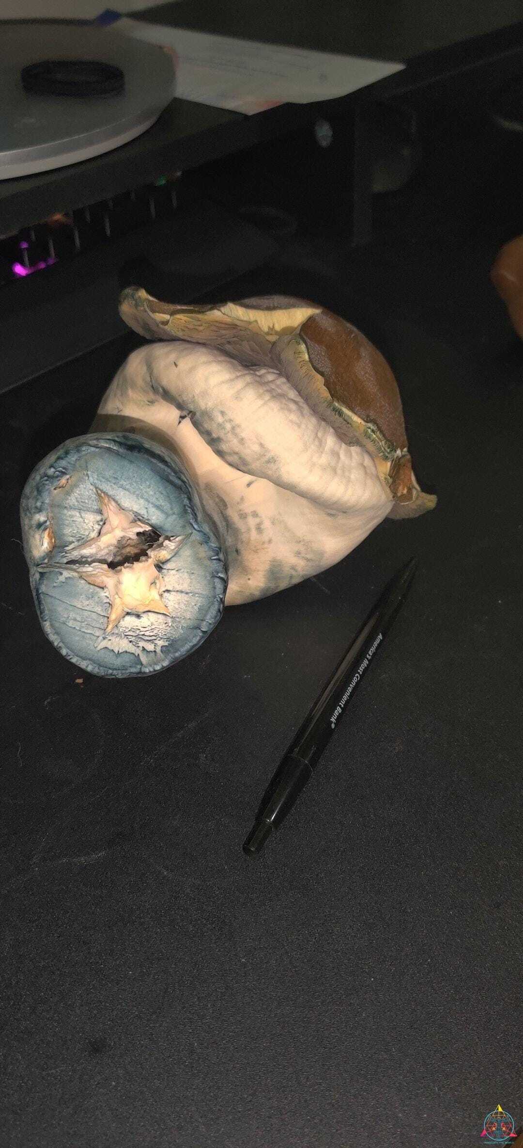 Jedi Mind Fuck (JMF) Spore Print - Image 2