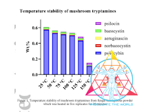 Psilocybin Heat Degradation and Storage Study