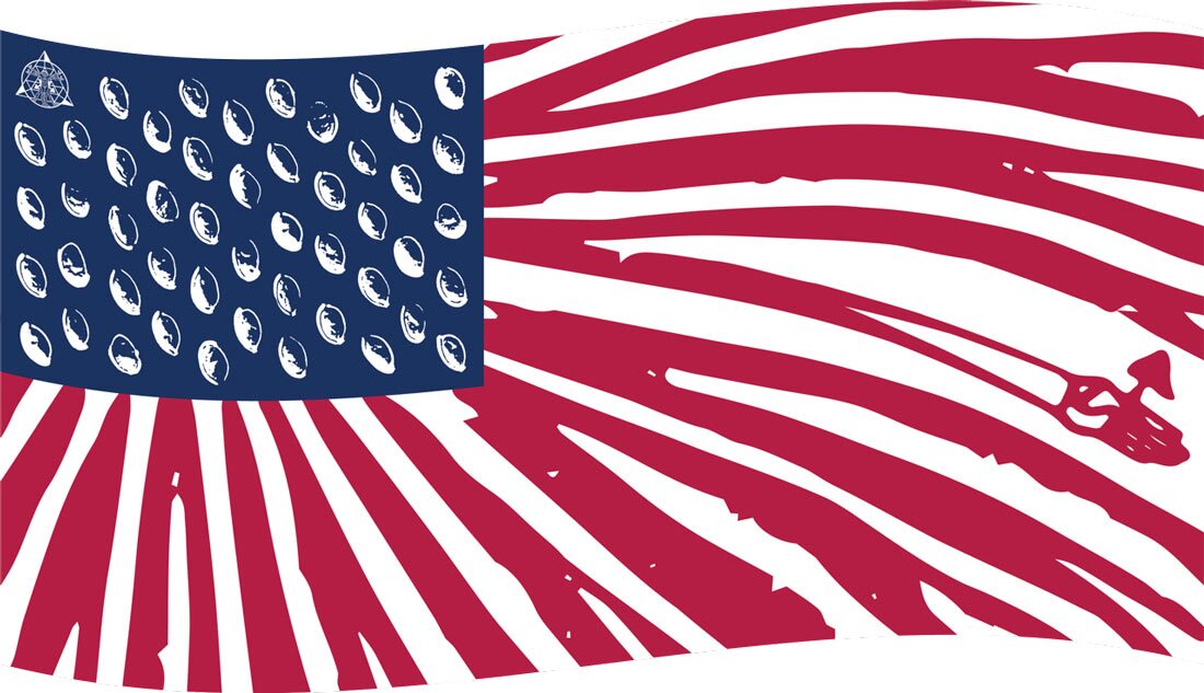 American flag that looks like mushroom gills and spores to represent mushrooms for veterans