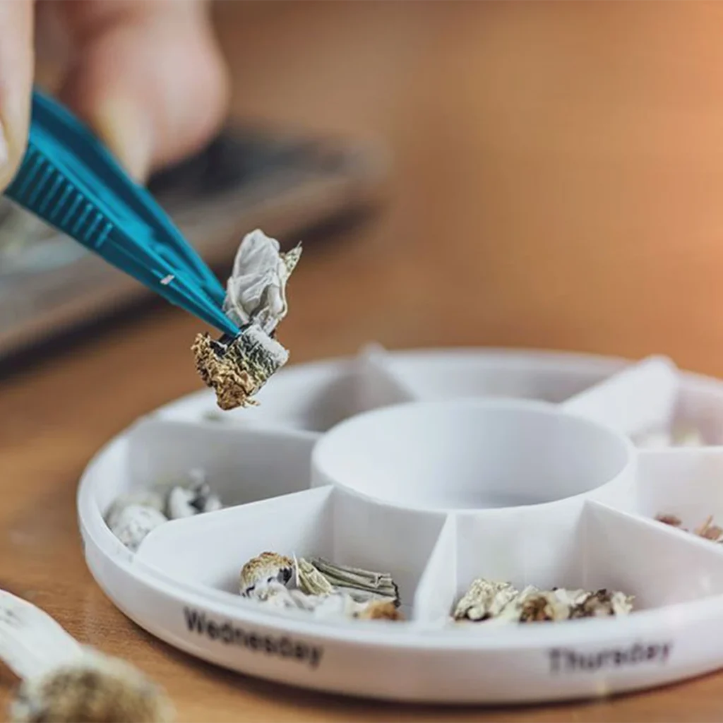 psilocybin microdosing image