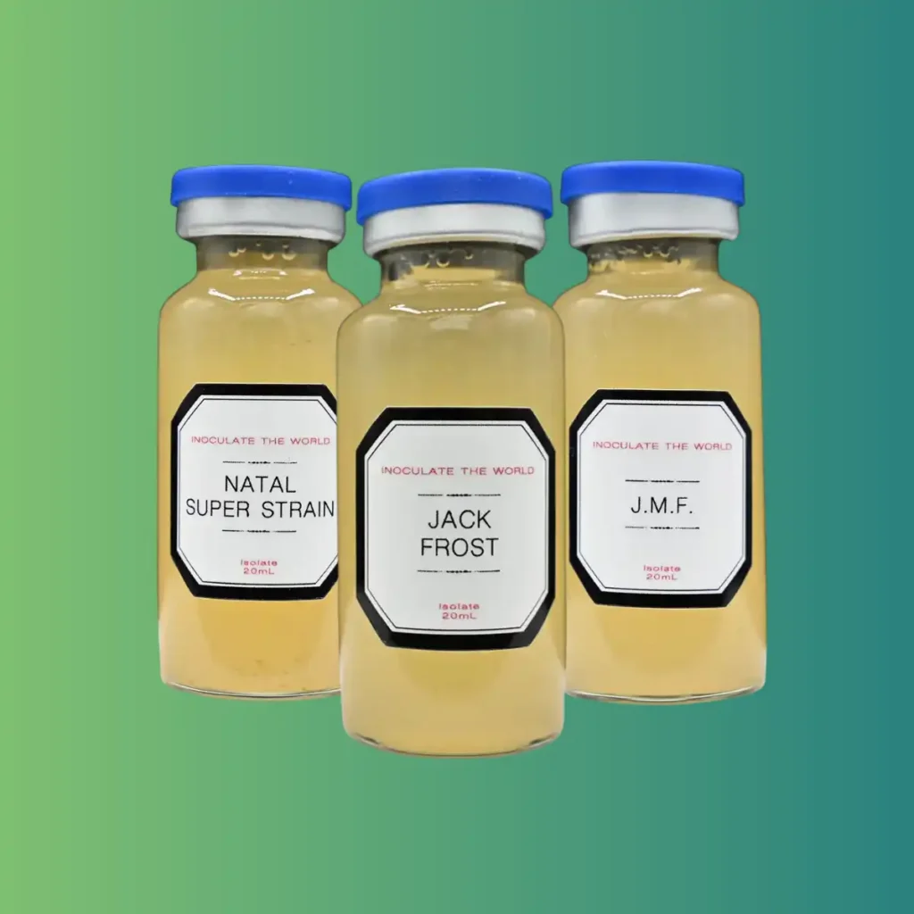 Three vials with yellow liquid against a blue green background