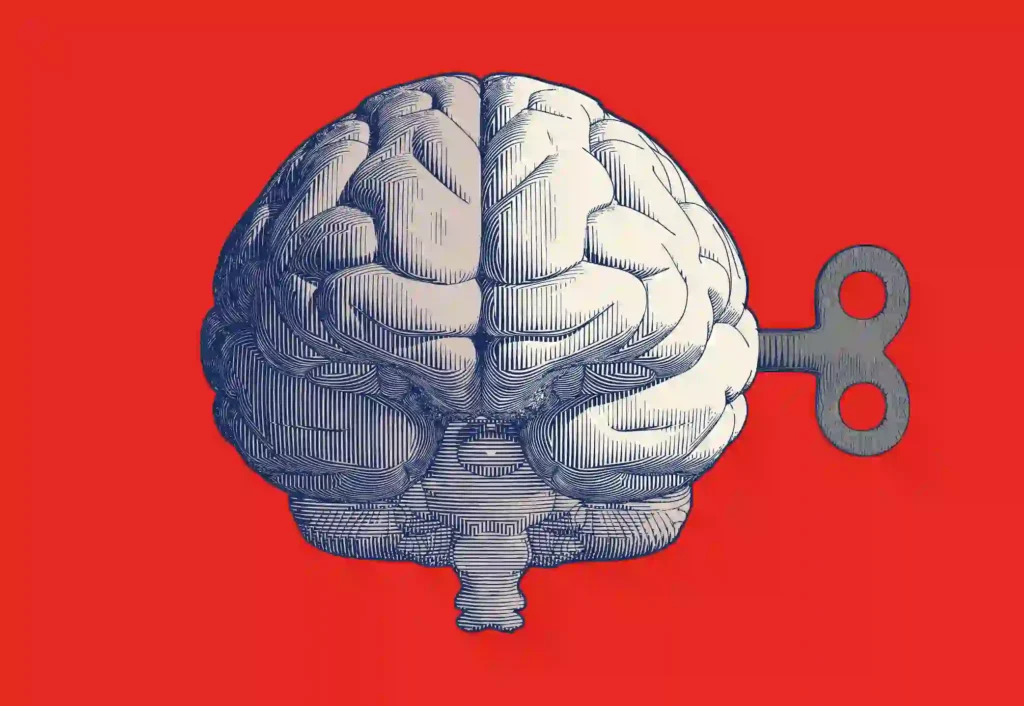 A detailed line drawing of a brain with a red background.