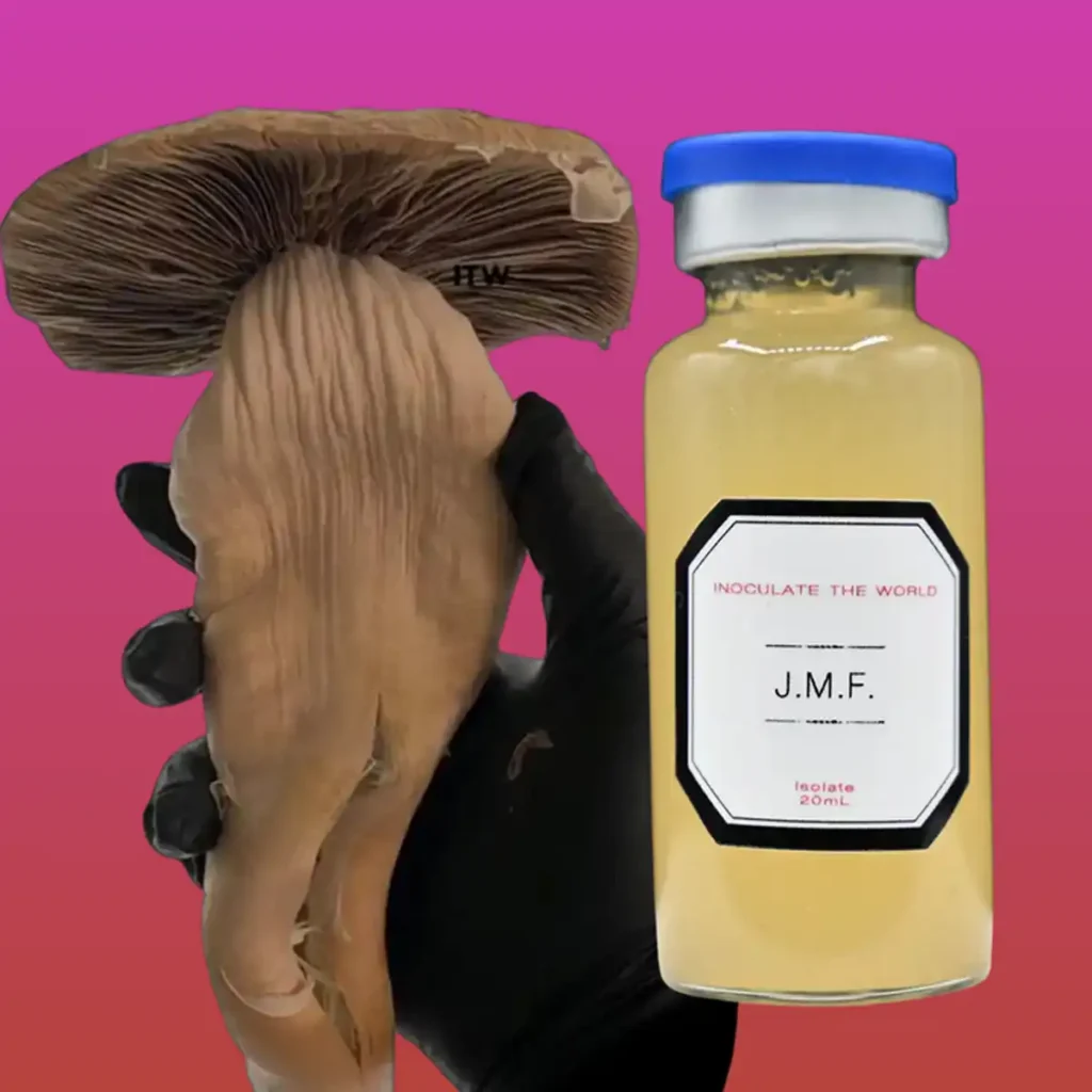 A small vial of yellow liquid in front of a gloved hand holding a Jedi Mind Fuck mushroom