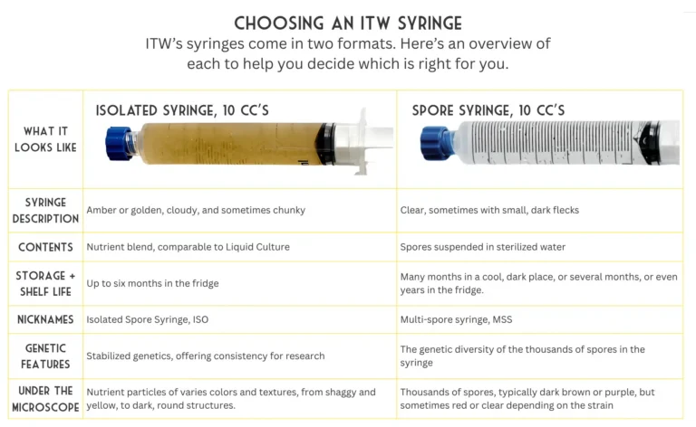 A table comparing two syringe formats