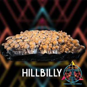Hillbilly Cubensis Isolated Spore Syringe