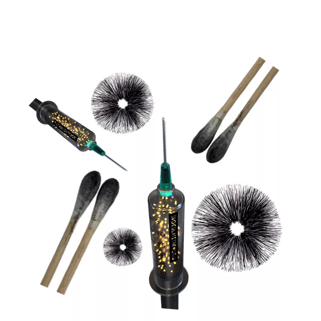 Learn how to store mushroom spore syringes, spore prints and swabs