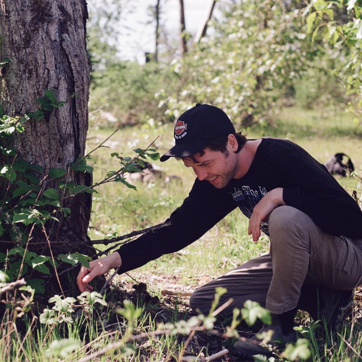 a man picking mushrooms from brown forest floor