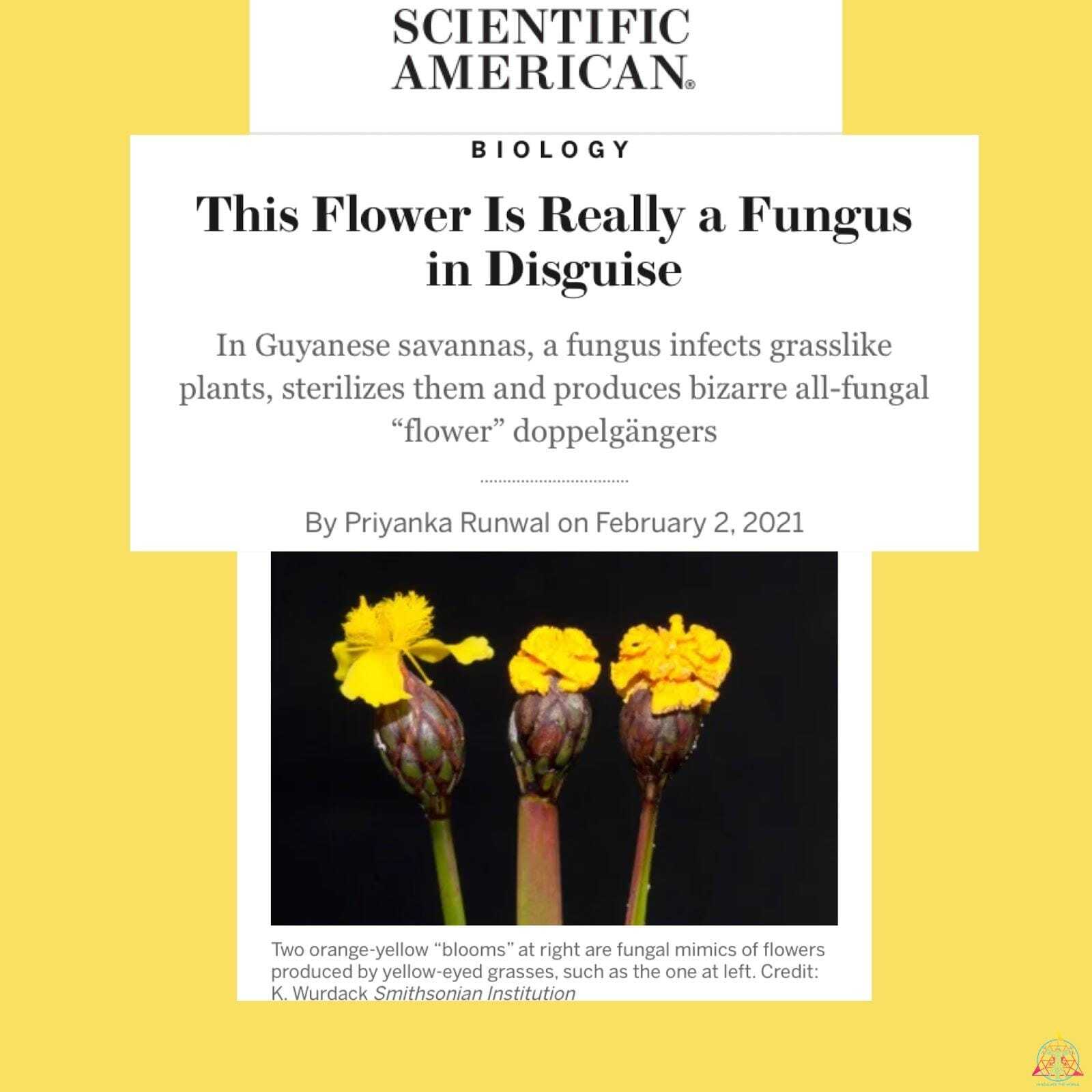 Flower mimic