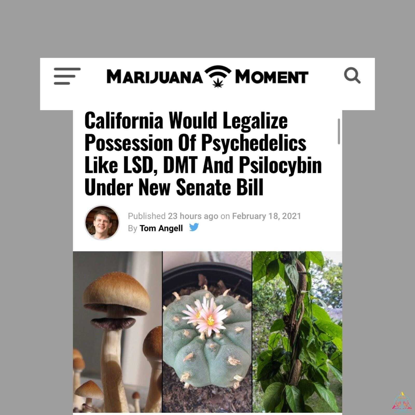 cali legalization