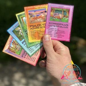 Mushroom Trading Cards