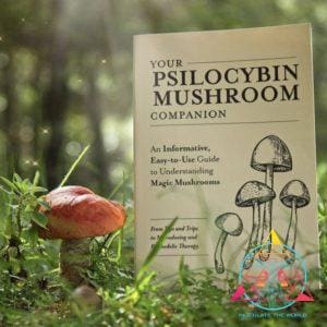 Your Psilocybin Mushroom Companion book in grass next to red mushroom