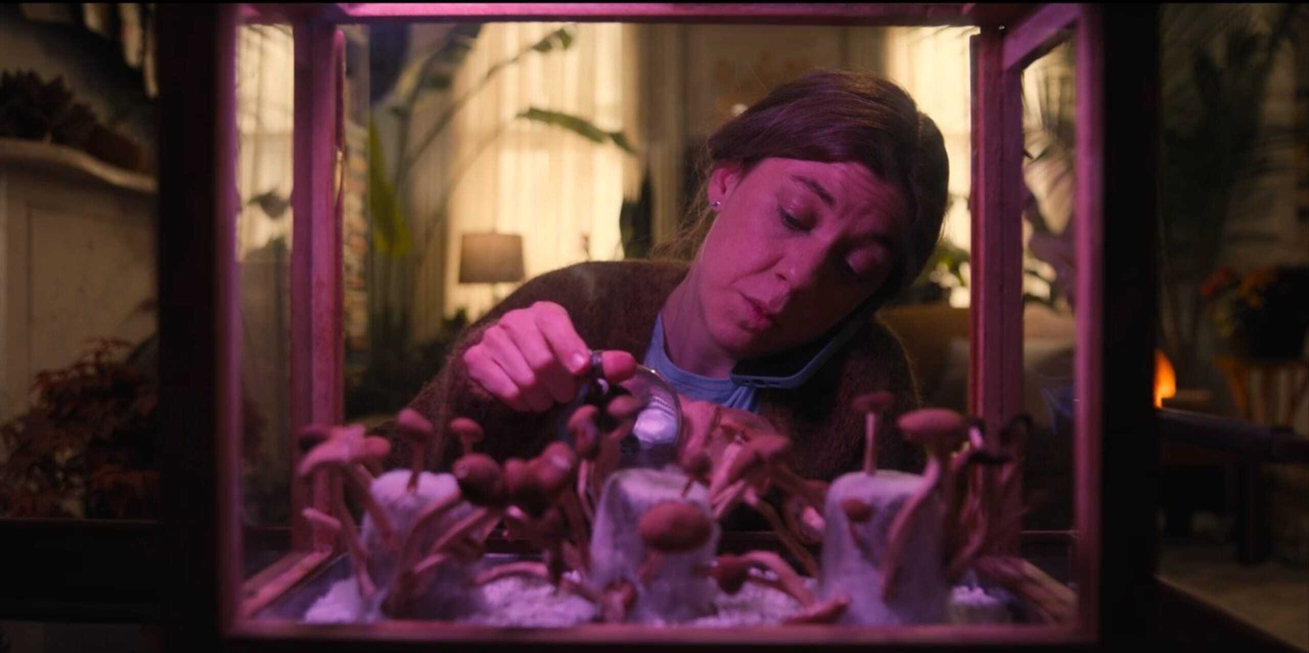 Ann from Life & Beth growing mushrooms in episode 3 Out On The Island