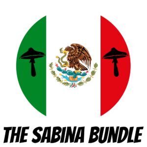 The Sabina Bundle