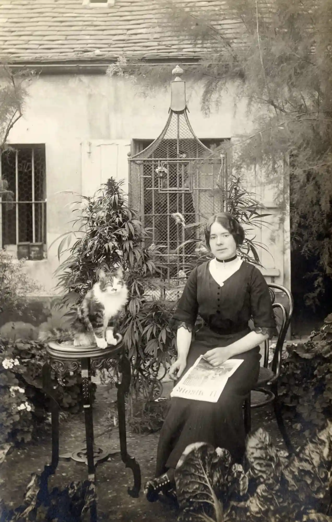 A Parisian woman and her cat sit in her cannabis garden, dated between 1914 and 1920